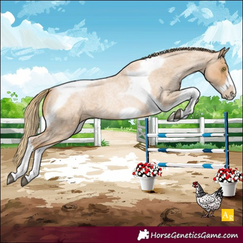 Horse Color:Red Roan Pearl Tobiano Frame