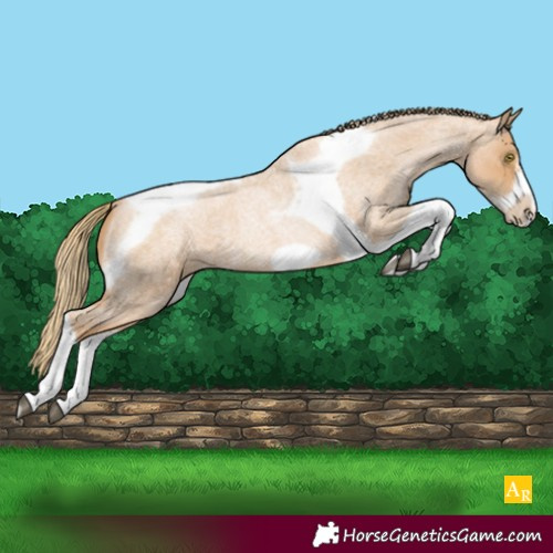 Horse Color:Red Roan Pearl Tobiano Frame 
