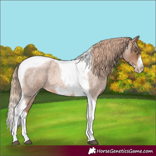 Horse Color:Liver Red Roan Pearl Tobiano Frame 