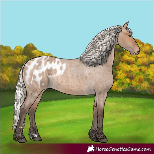 Horse Color:Silver Brown Roan Dun Blanket