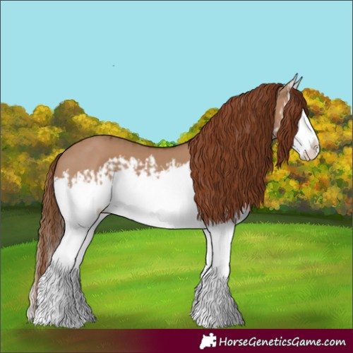 Horse Color:Red Dun Splash  and Red Dun Splash 