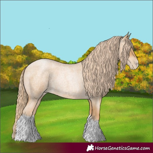 Horse Color:Red Roan Pearl Tobiano Frame 