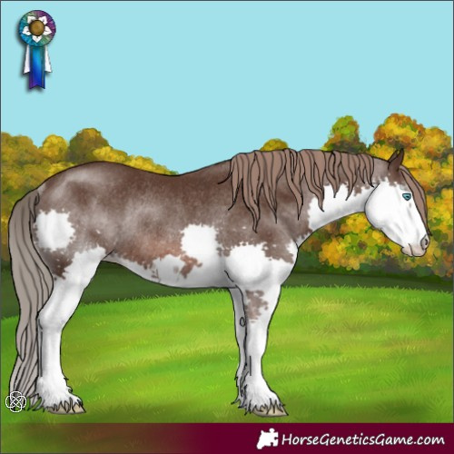 Horse Color:Liver Chestnut Splash Rabicano 