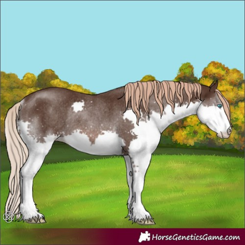Horse Color:Liver Chestnut Splash Rabicano 