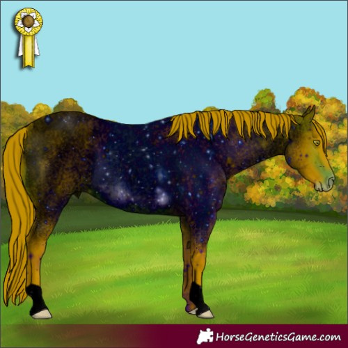 Horse Color:ERROR: UNKNOWN ANOMALY