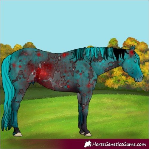 Horse Color:ERROR: UNKNOWN ANOMALY