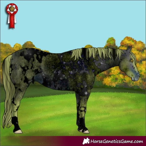 Horse Color:ERROR: UNKNOWN ANOMALY