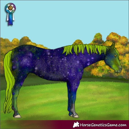 Horse Color:ERROR: UNKNOWN ANOMALY