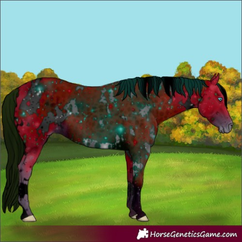 Horse Color:ERROR: UNKNOWN ANOMALY