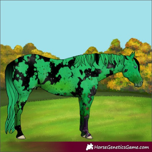 Horse Color:ERROR: UNKNOWN ANOMALY