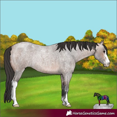 Horse Color:Bay Roan Mushroom Sabino Rabicano