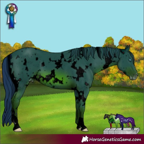 Horse Color:ERROR: UNKNOWN ANOMALY