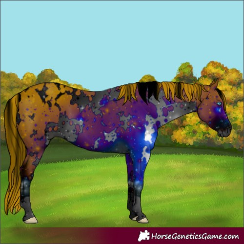 Horse Color:ERROR: UNKNOWN ANOMALY