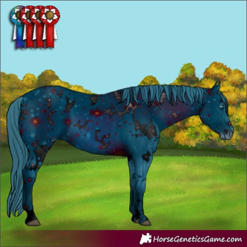 Horse Color:ERROR: UNKNOWN ANOMALY