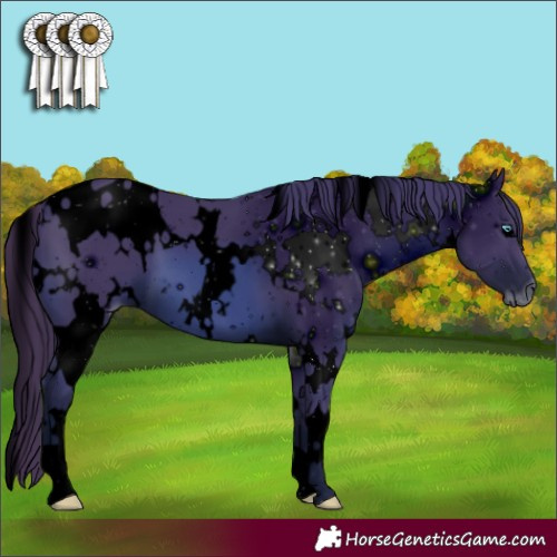 Horse Color:ERROR: UNKNOWN ANOMALY