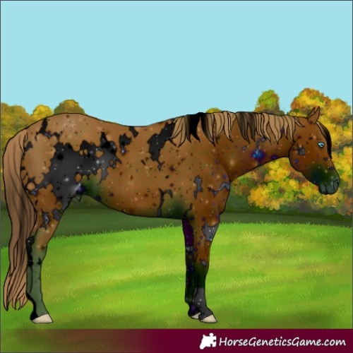 Horse Color:ERROR: UNKNOWN ANOMALY