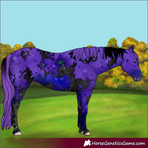 Horse Color:ERROR: UNKNOWN ANOMALY