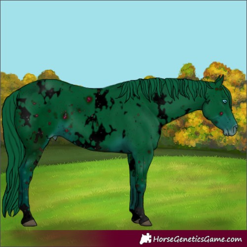 Horse Color:ERROR: UNKNOWN ANOMALY