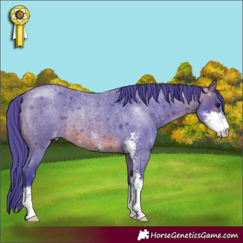 Horse Color:Watercolor Brown Roan Mushroom Sabino Rabicano 