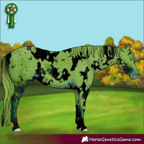 Horse Color:ERROR: UNKNOWN ANOMALY