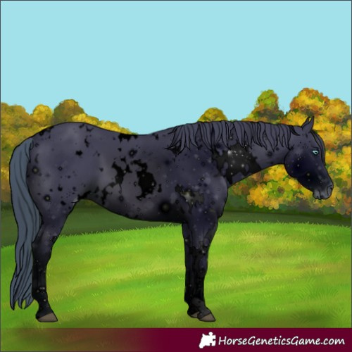 Horse Color:ERROR: UNKNOWN ANOMALY