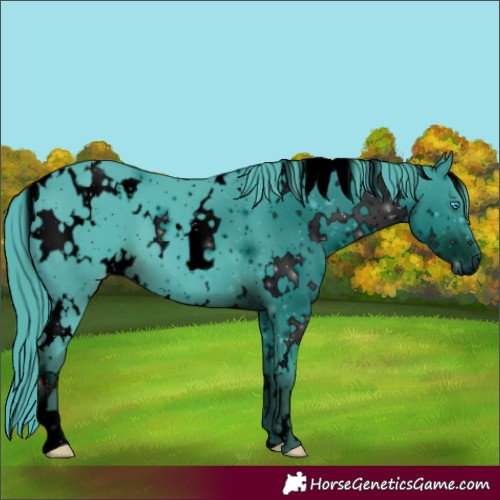 Horse Color:ERROR: UNKNOWN ANOMALY