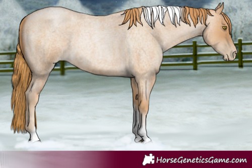 Horse Color:Red Roan Pearl Tobiano Frame 