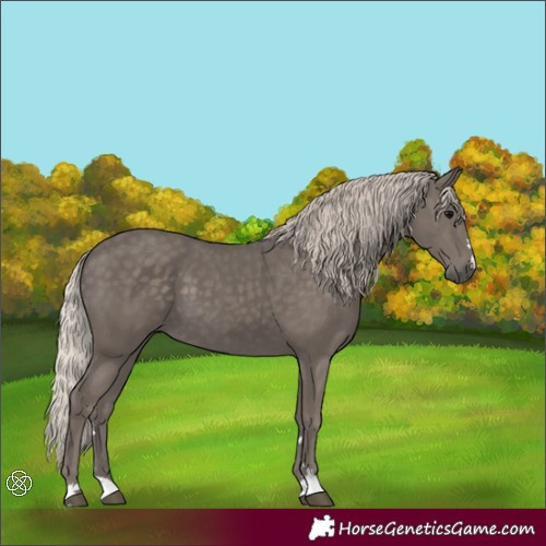 Horse Color:Silver Black