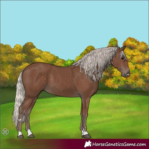 Horse Color:Silver Black