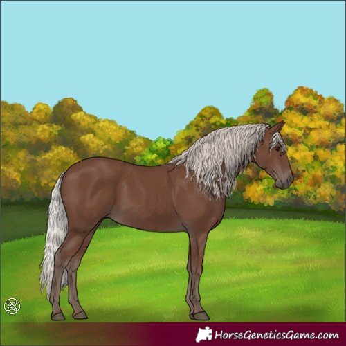 Horse Color:Silver Black