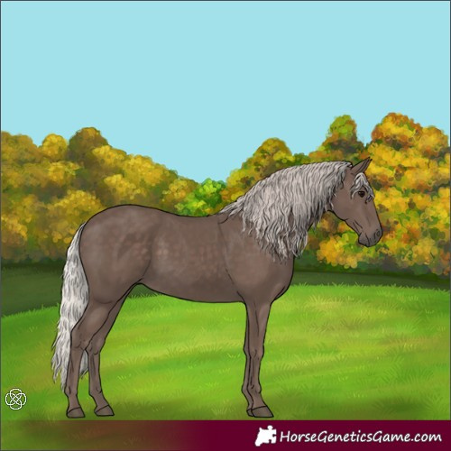 Horse Color:Silver Black