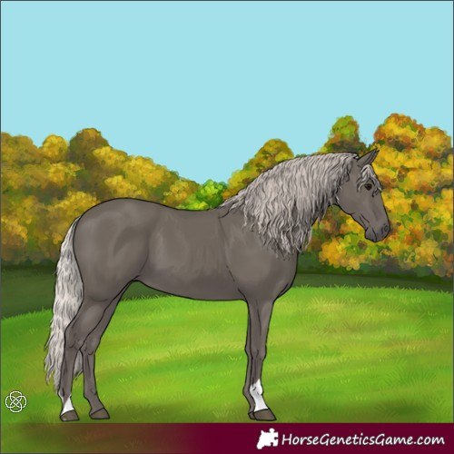 Horse Color:Silver Black 
