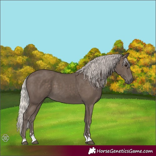 Horse Color:Silver Black 