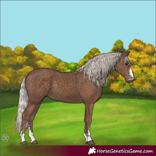 Horse Color:Silver Black 