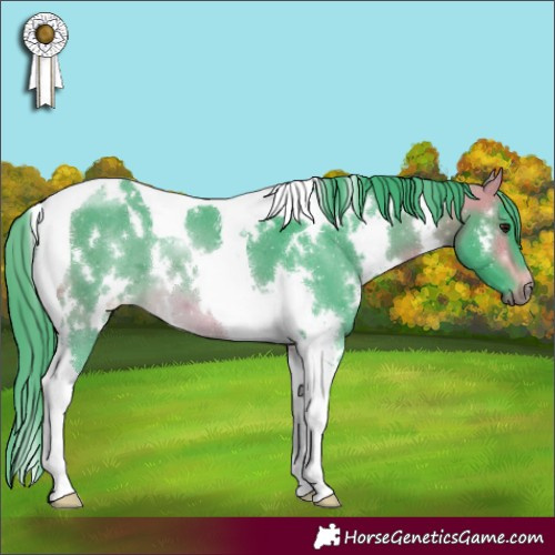 Horse Color:Watercolor White Spotted Buckskin Tobiano 
