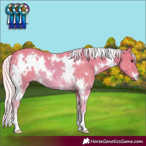 Horse Color:Watercolor White Spotted Palomino 