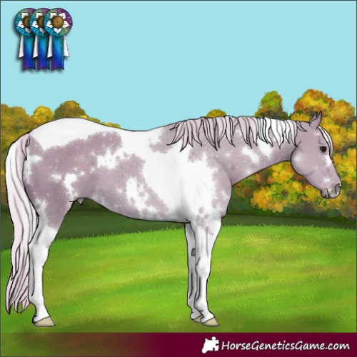 Horse Color:Watercolor White Spotted Silver Black Tobiano 