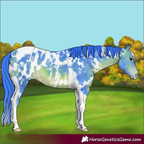 Horse Color:Watercolor White Spotted Brown Tobiano Blanket