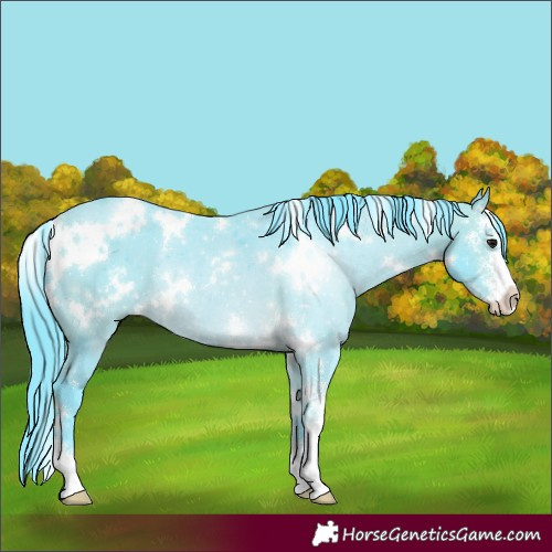 Horse Color:Watercolor White Spotted Bay Sabino Rabicano 