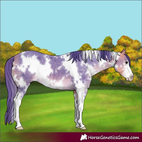 Horse Color:Watercolor White Spotted Buckskin Sabino
