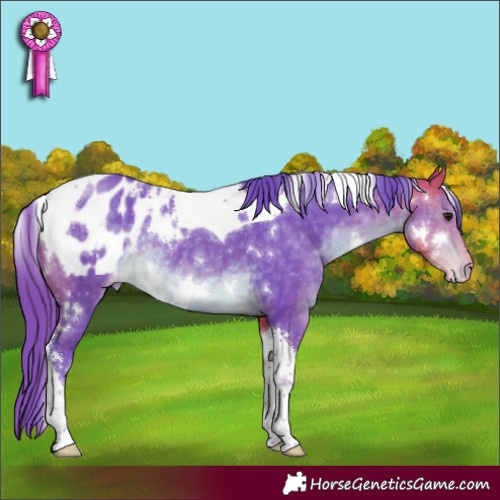 Horse Color:Watercolor White Spotted Buckskin Tobiano Blanket 