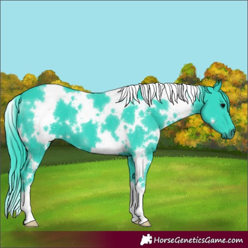 Horse Color:Watercolor White Spotted Black