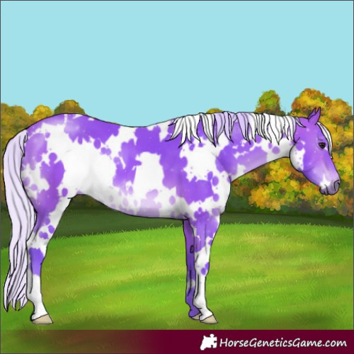 Horse Color:Watercolor White Spotted Silver Bay