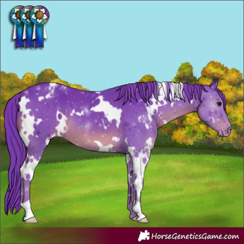 Horse Color:Watercolor White Spotted Black Varnish