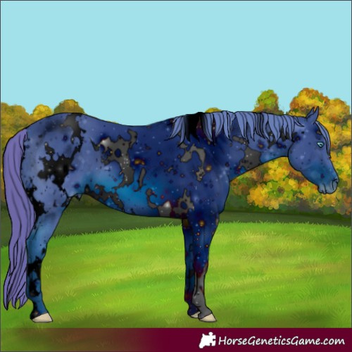 Horse Color:ERROR: UNKNOWN ANOMALY