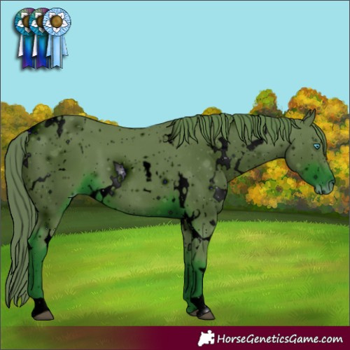Horse Color:ERROR: UNKNOWN ANOMALY