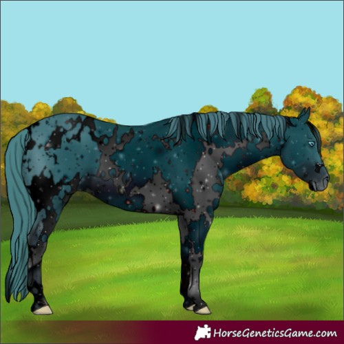 Horse Color:ERROR: UNKNOWN ANOMALY