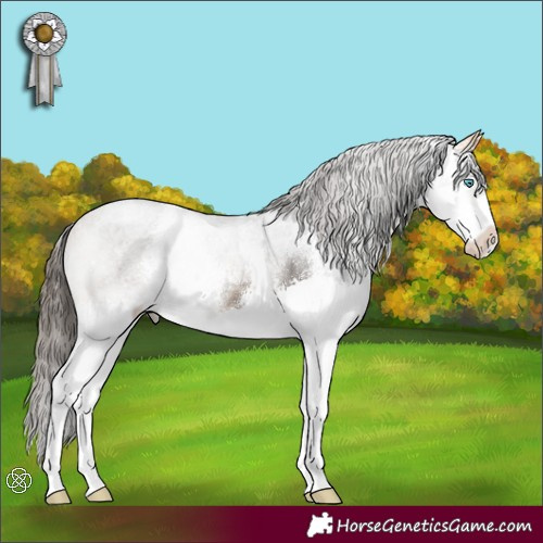 Horse Color:Buckskin Sabino Splash Rabicano 