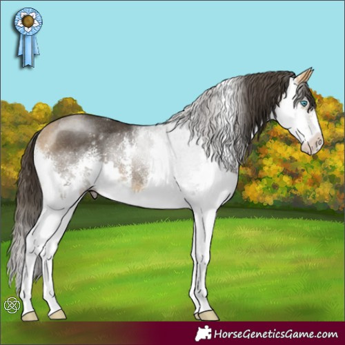 Horse Color:Buckskin Sabino Splash Rabicano 