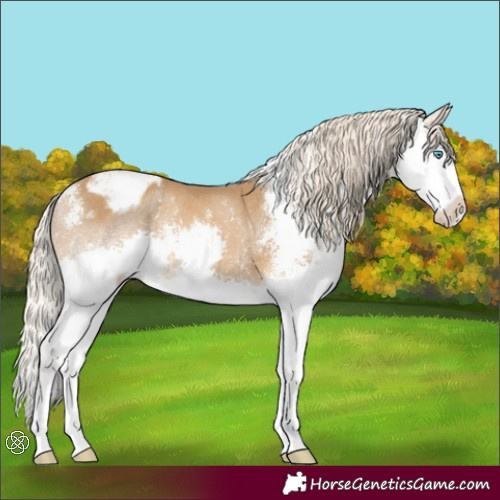 Horse Color:Chocolate Palomino Sabino Splash Varnish Rabicano 